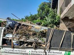 Best Residential Junk Removal  in Geneseo, IL